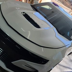 Meet your Posher, Todd